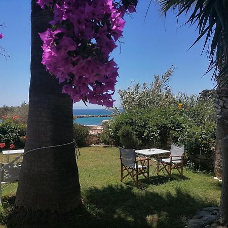 Nikoleta'S Studios Drios Dış mekan fotoğraf