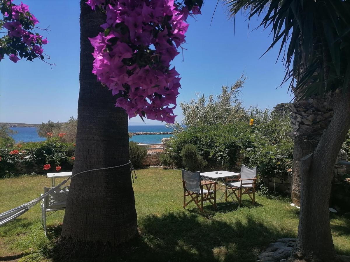 Nikoleta'S Studios Drios Dış mekan fotoğraf