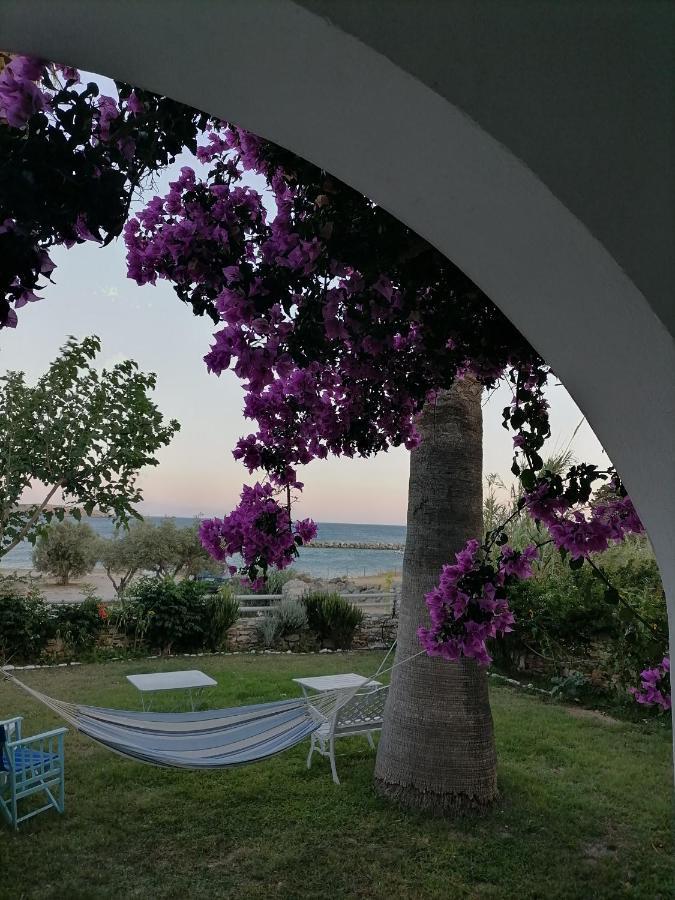 Nikoleta'S Studios Drios Dış mekan fotoğraf