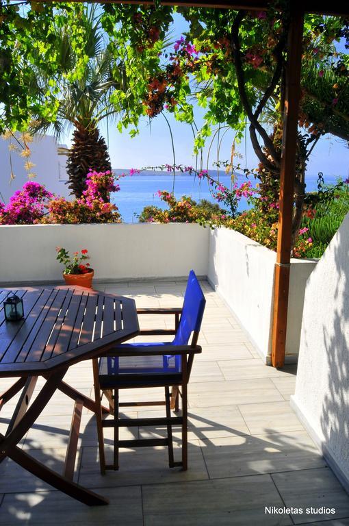 Nikoleta'S Studios Drios Oda fotoğraf