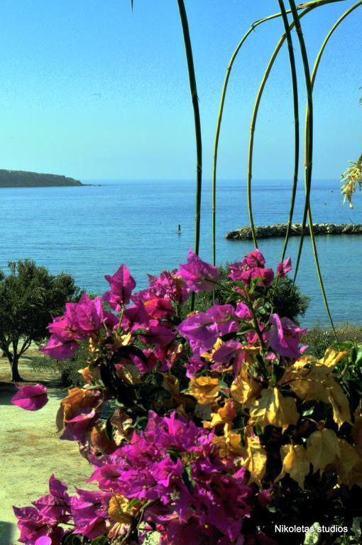 Nikoleta'S Studios Drios Dış mekan fotoğraf