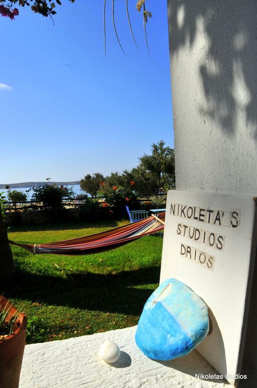 Nikoleta'S Studios Drios Dış mekan fotoğraf