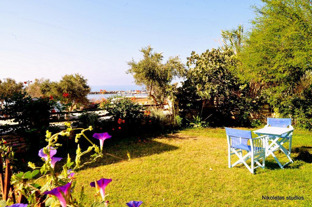 Nikoleta'S Studios Drios Dış mekan fotoğraf