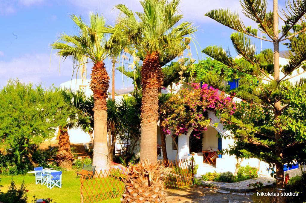 Nikoleta'S Studios Drios Dış mekan fotoğraf