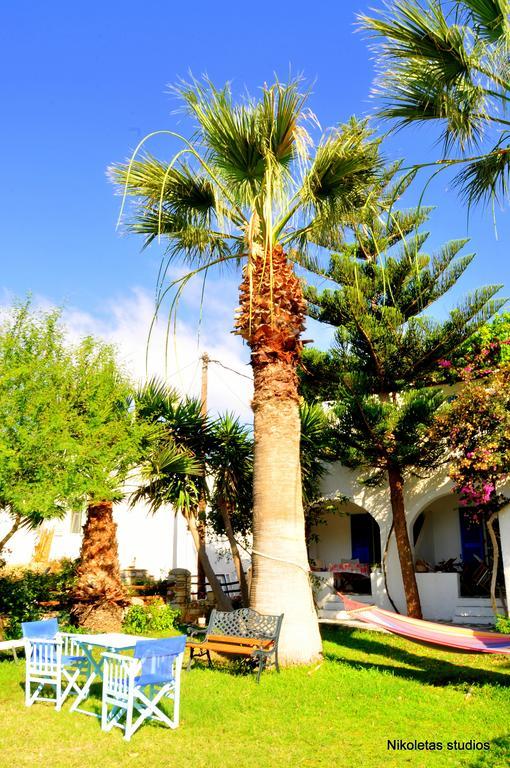 Nikoleta'S Studios Drios Dış mekan fotoğraf