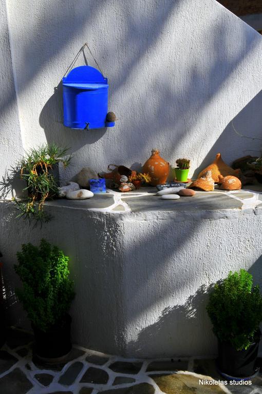 Nikoleta'S Studios Drios Dış mekan fotoğraf