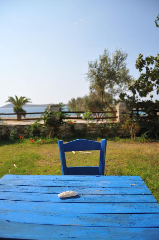 Nikoleta'S Studios Drios Oda fotoğraf