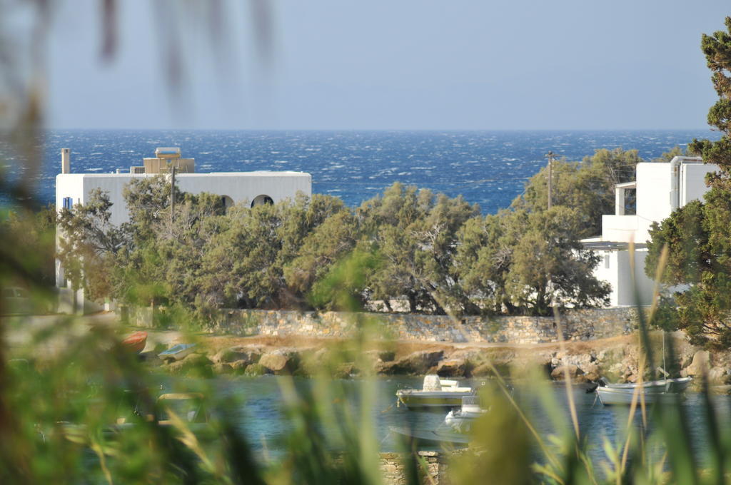 Nikoleta'S Studios Drios Oda fotoğraf